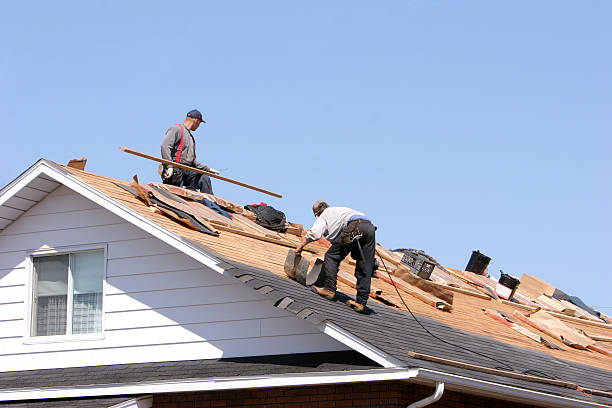 Best Roof Maintenance and Cleaning  in Morganton, NC